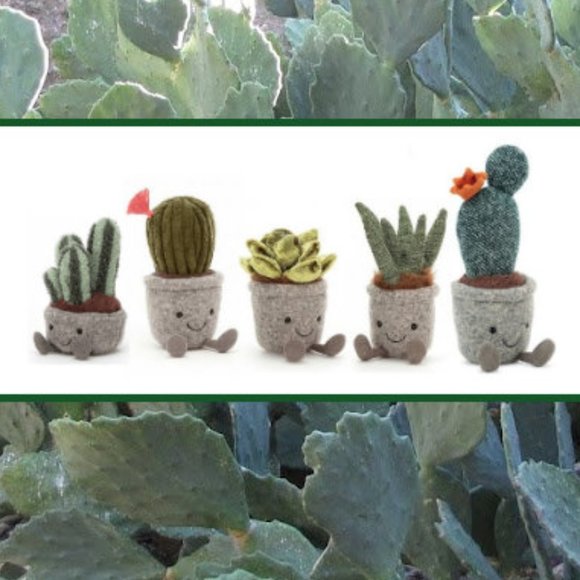Jellycat Other - New! 🌵Silly Succulent Plush Plants  5pc Set 🌵